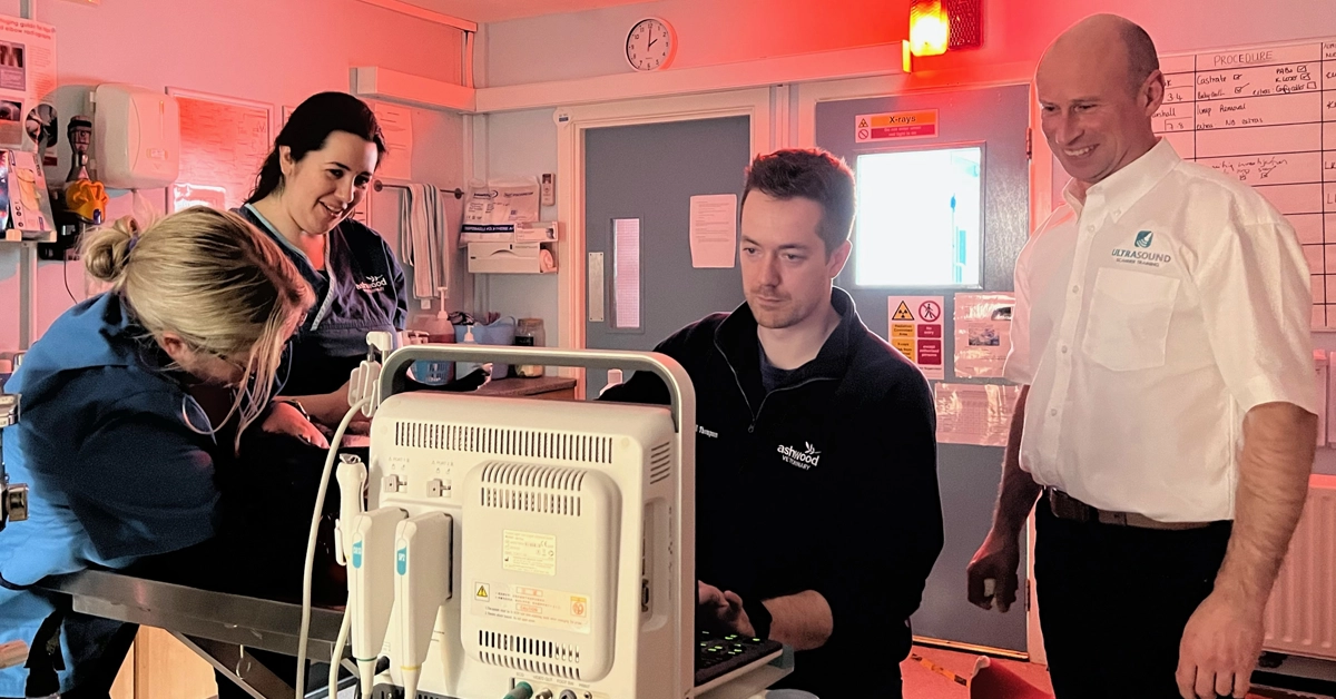 Ashwood Vets training day in Belfast
