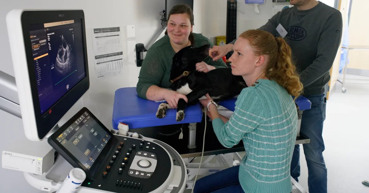 CPD Circle Training Day Valley Vet Hospital Cardiff