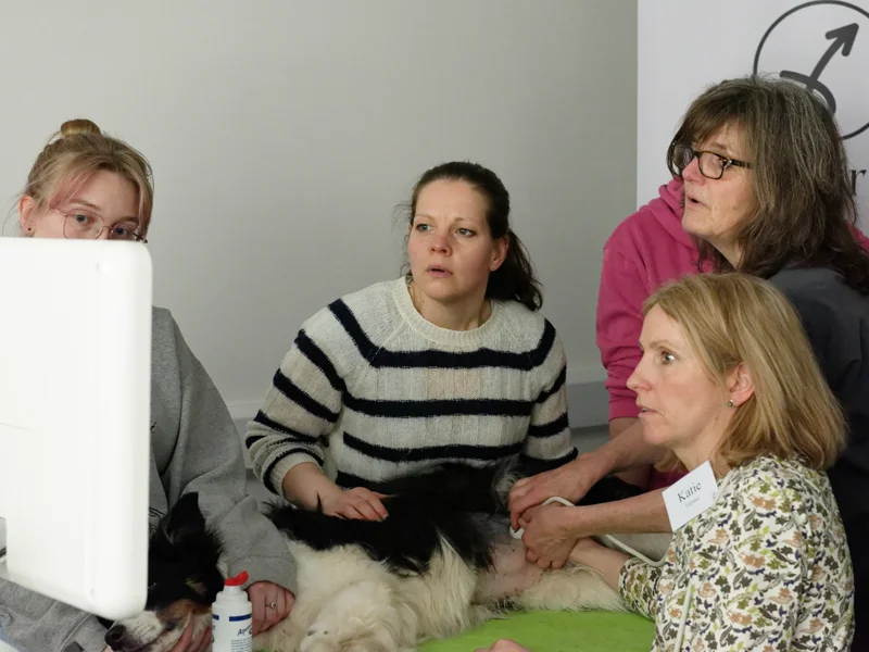 CPD Circle Training Day Valley Vet Hospital Cardiff