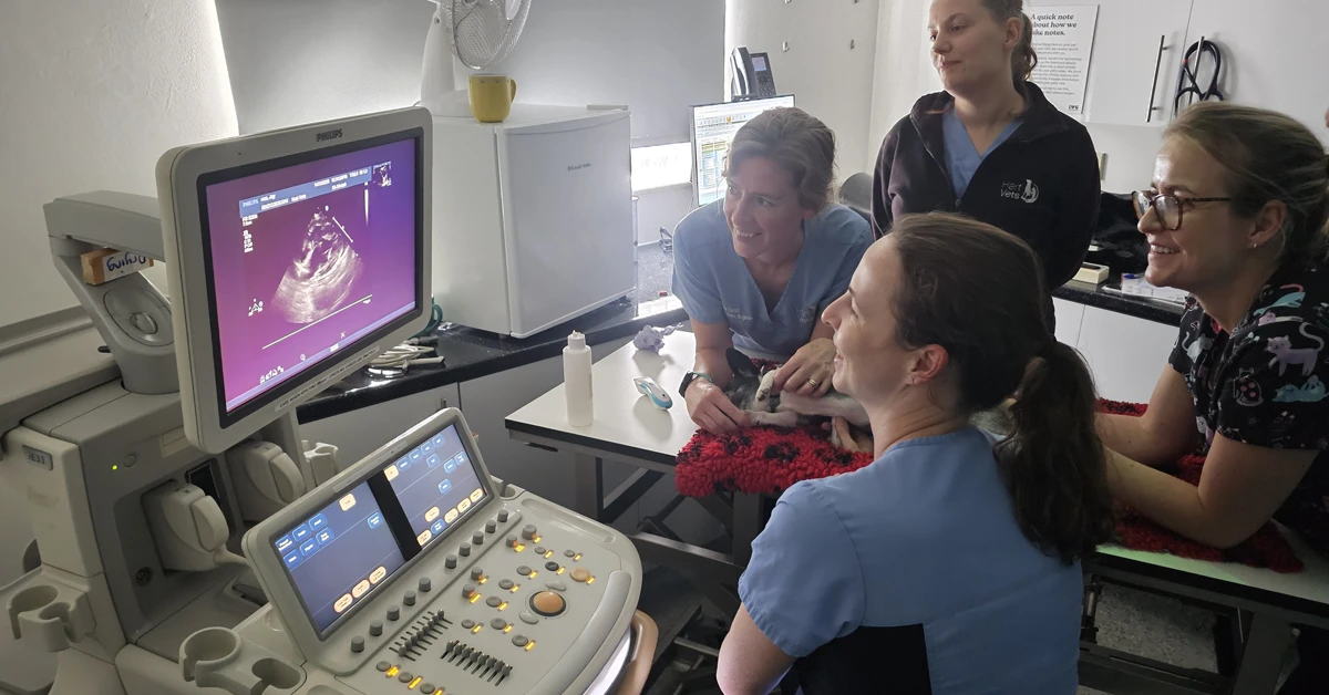 Hart Vets Bicester training session