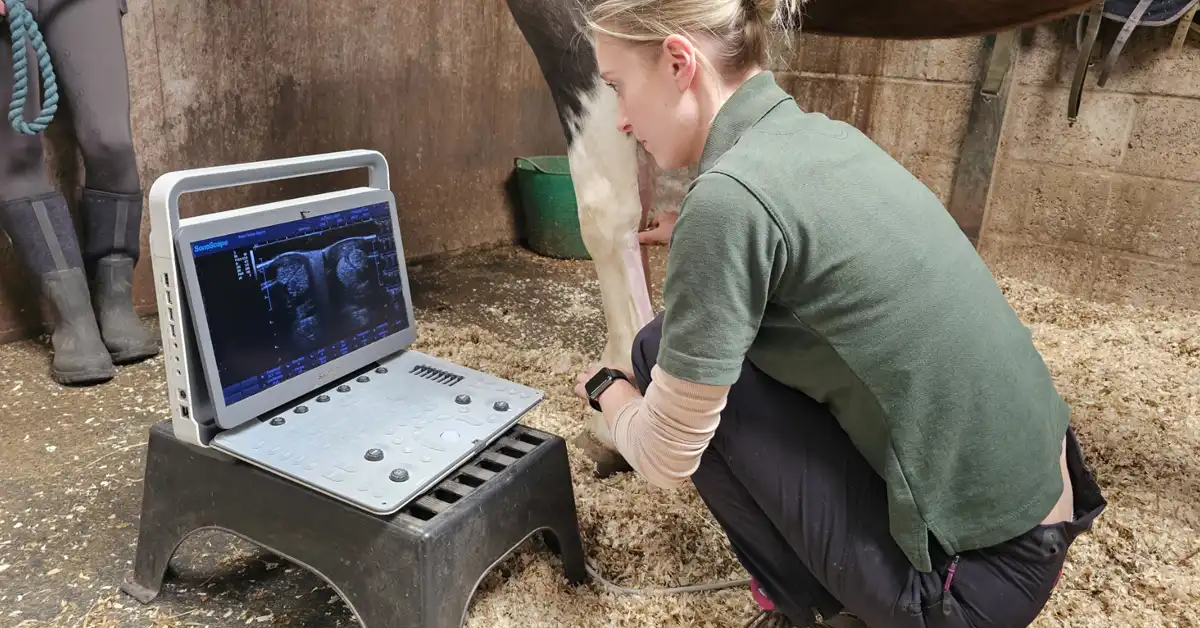 Peter Fenton Equine Vets Middleton training day