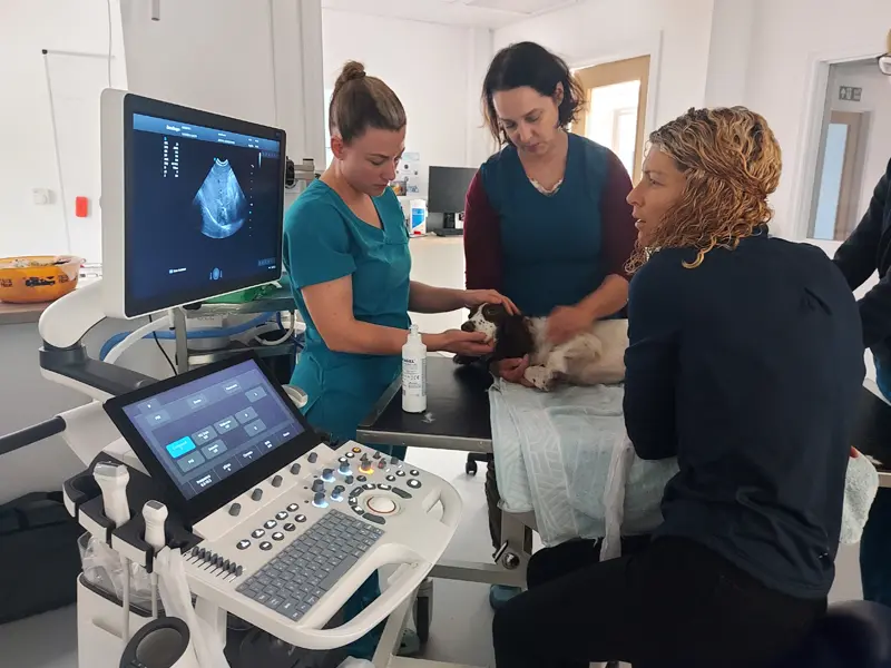 Seren Vets Ultrasound Scanner Training - Ultrasound Scanner Training