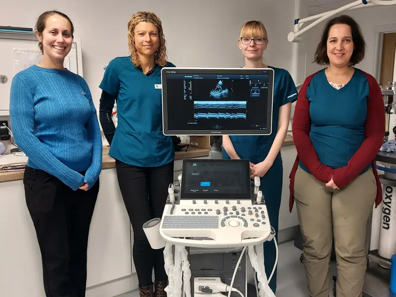 Seren Vets Ultrasound Scanner Training