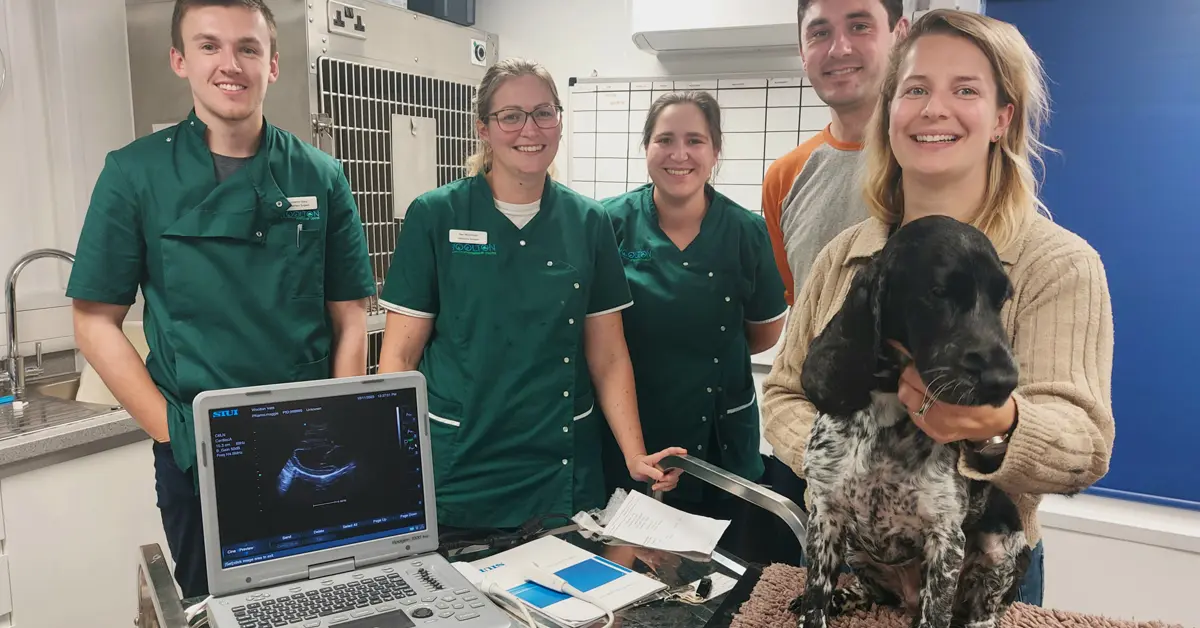 Woolton Vets Ultrasound System Training